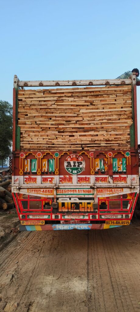 Biswas Traders -Sawn Mango Timber Wholesale Supplier High Quality Timber Merchants in India